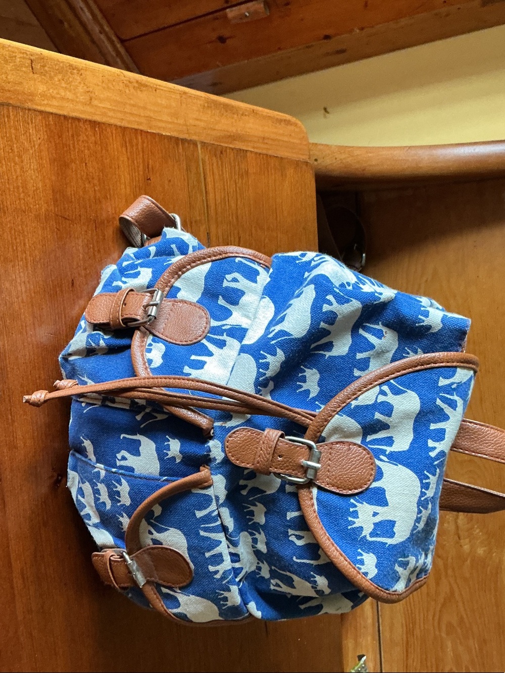 Back pack